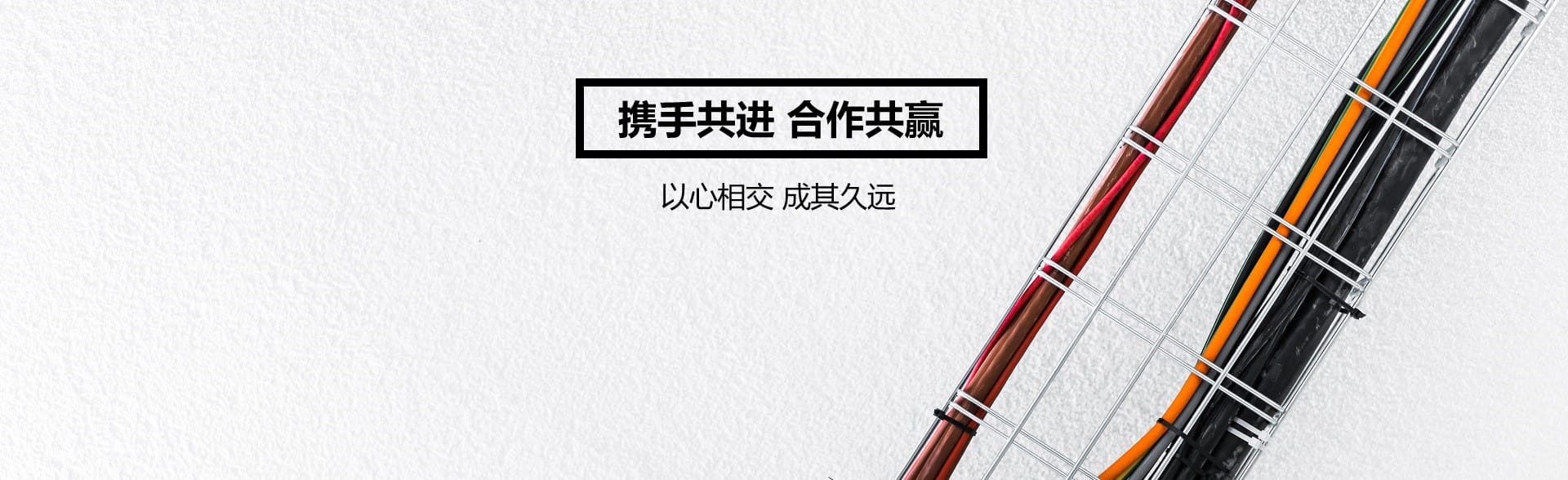 服务案例